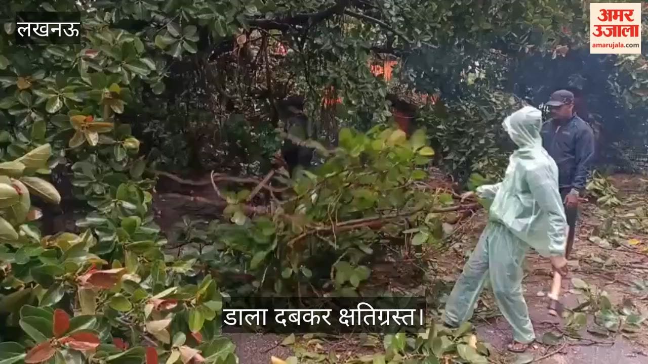 Video: निशातगंज में 150 साल पुराना बरगद का पेड़ गिरा, डाला दबकर क्षतिग्रस्त