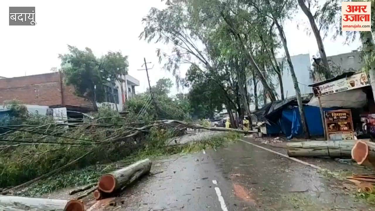 Heavy rain in Badaun causes waterlogging tree falls and power outages