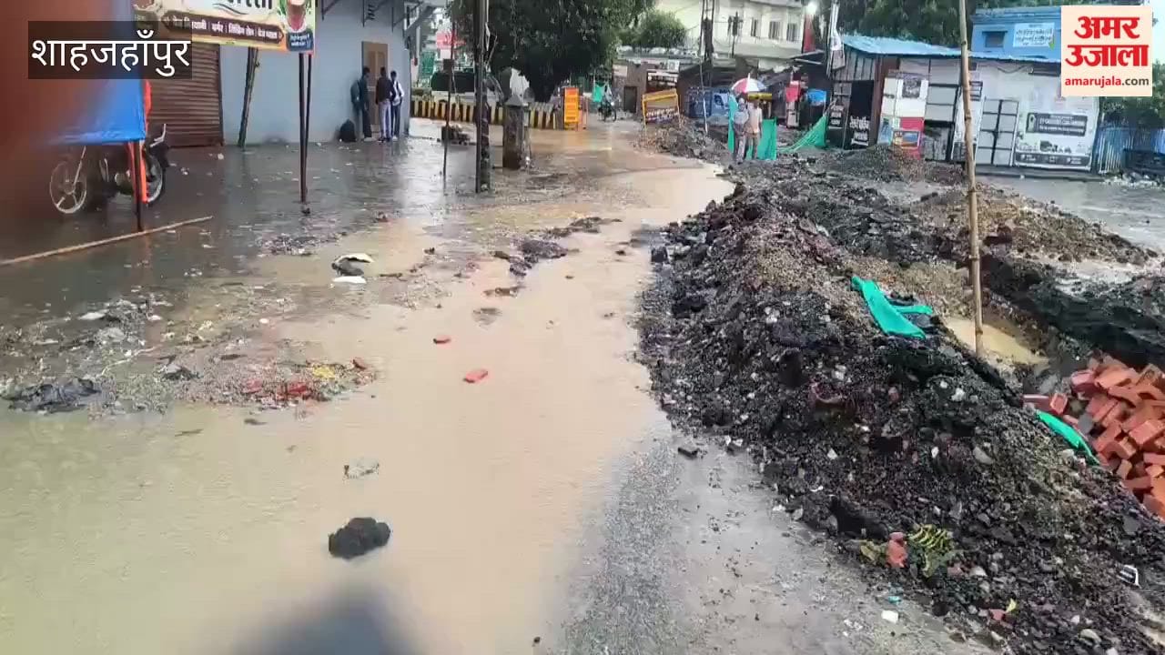 175 mm of rain in 24 hours in shahjahanpur leaving paddy fields in ruins