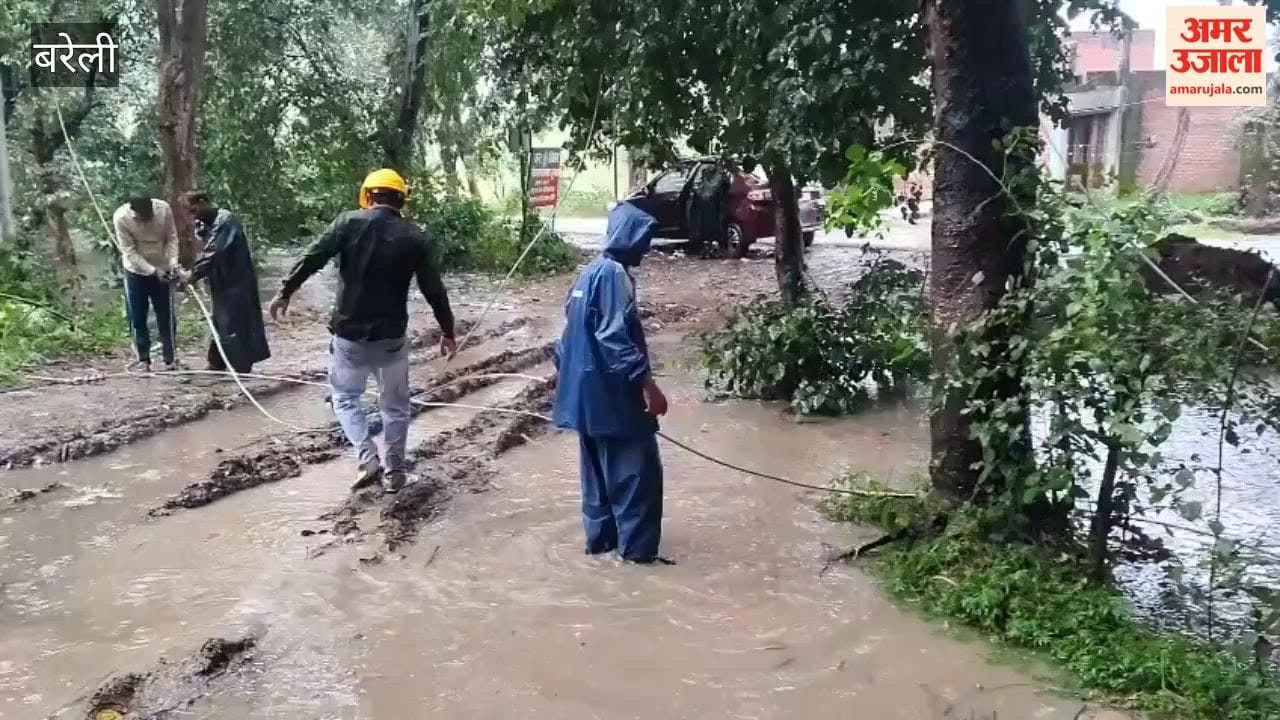 Power line damaged by a fallen tree due to rain in Sheeshgarh