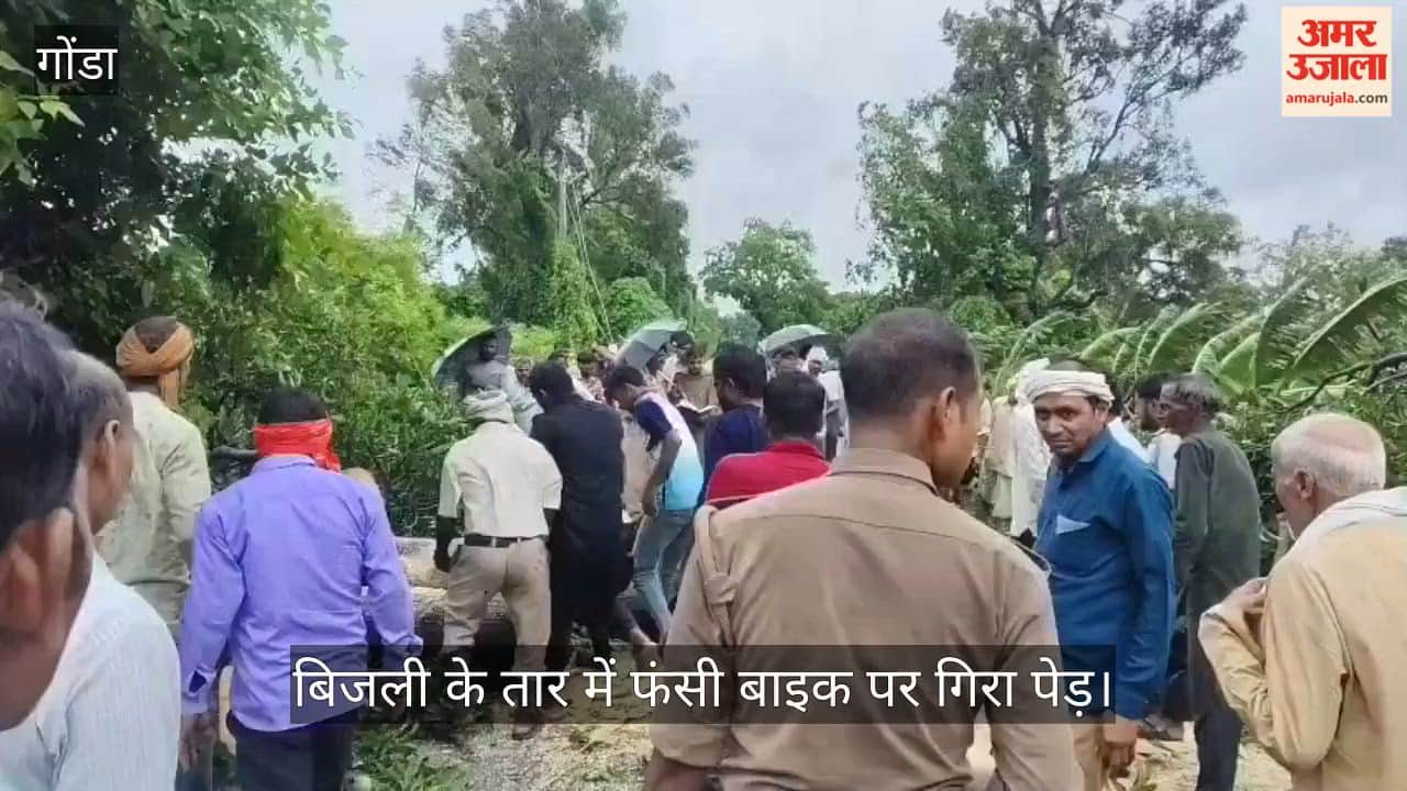 VIDEO: गोंडा: बिजली के तार में फंसी बाइक पर गिरा पेड़, दो युवकों की मौके पर ही मौत
