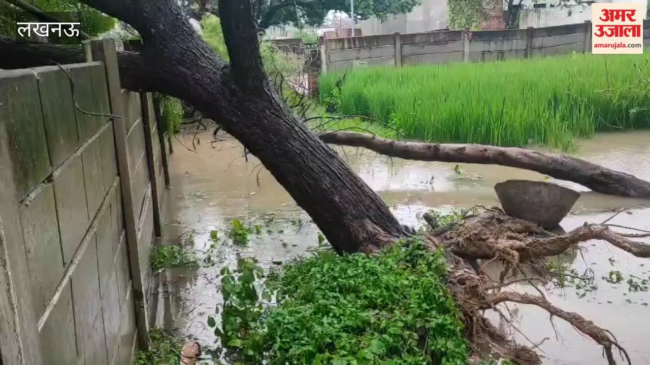 लखनऊ में बारिश से जाहिरपुर और अजनहर गांव गिरा पेड़, बिजली सप्लाई बाधित