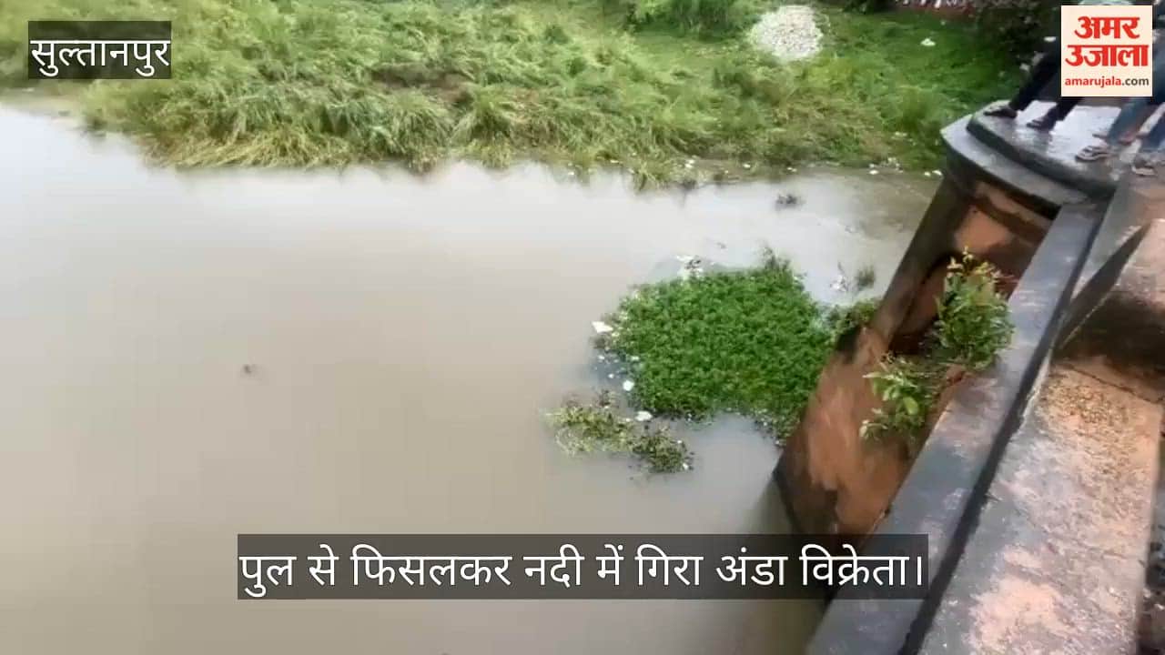 VIDEO: शाही पुल से फिसलकर नदी में गिरा अंडा विक्रेता, नदी के तेज बहाव में बहा