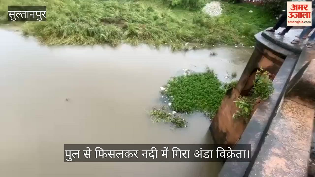 VIDEO: शाही पुल से फिसलकर नदी में गिरा अंडा विक्रेता, नदी के तेज बहाव में बहा