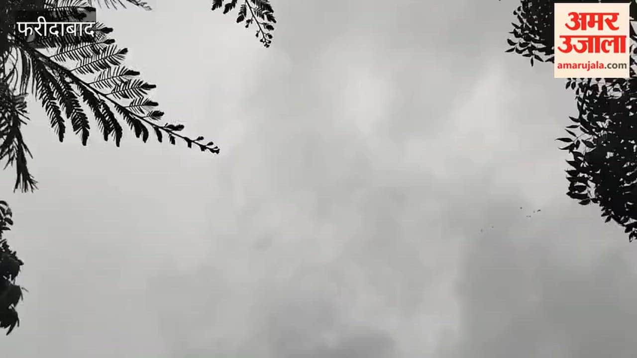 Weather changes in Faridabad light rain occurs in afternoon