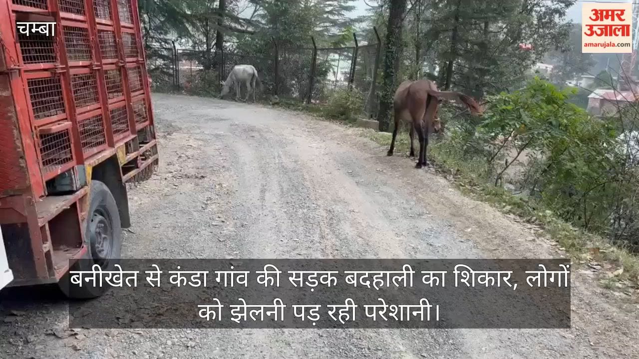 Video: Road from Banikhet to Kanda village in a dilapidated state; residents facing hardship.