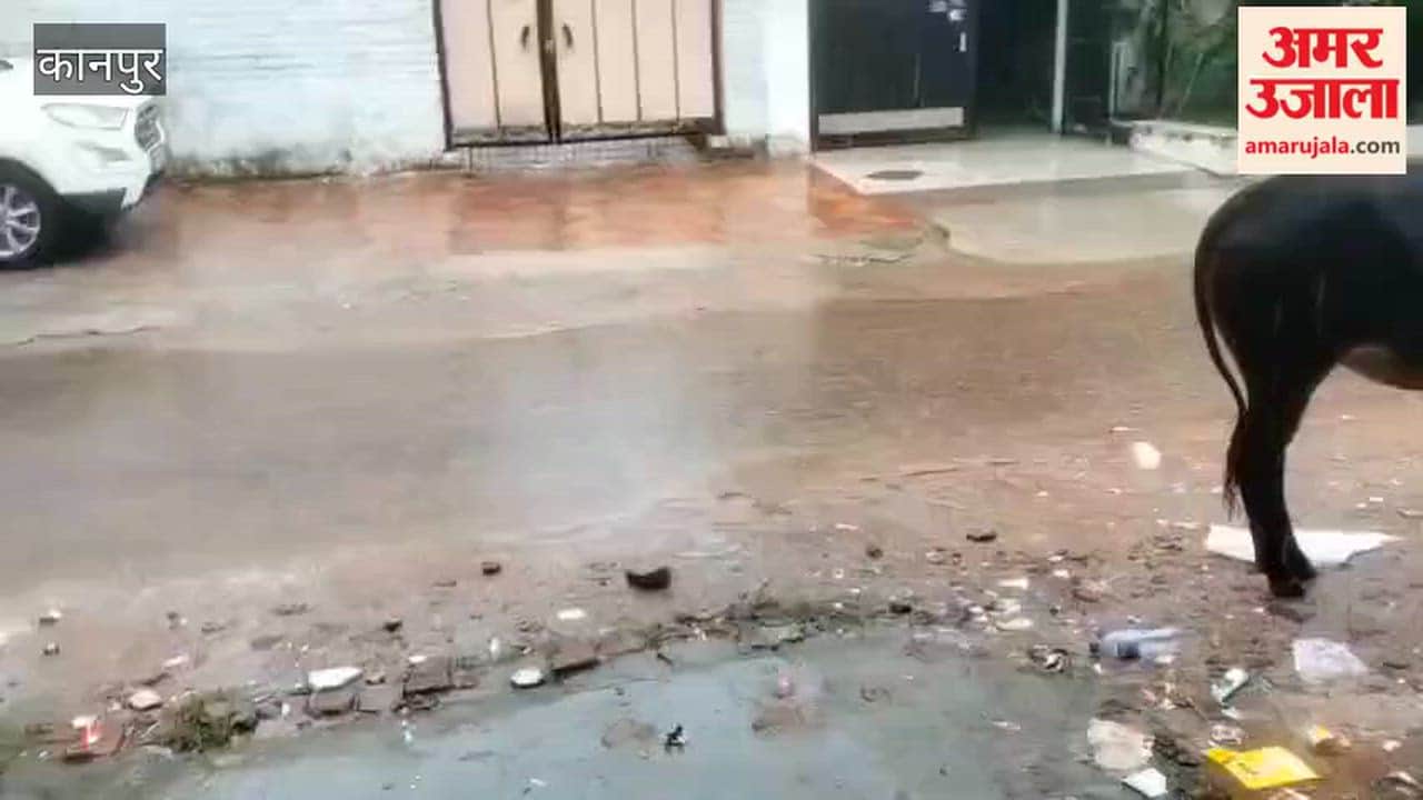 Kanpur: Rain Disrupts Daily Life; Silence Descends on Chakeri's Shyam Nagar