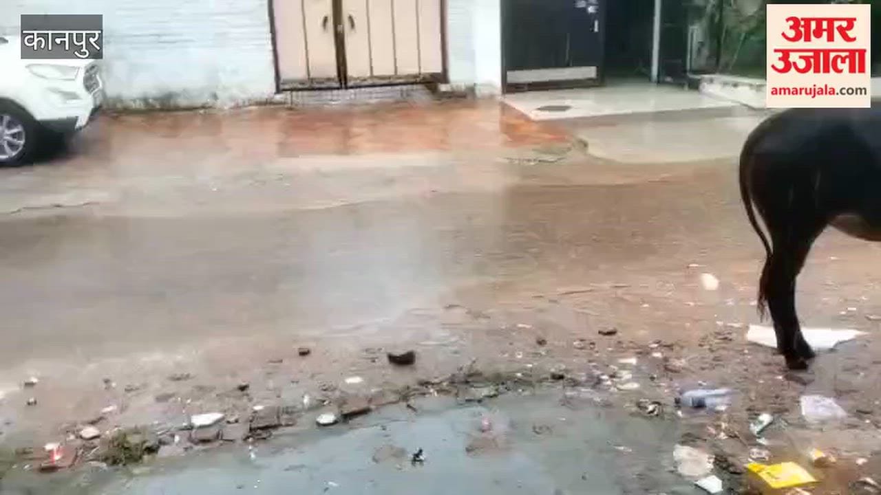 Kanpur: Rain Disrupts Daily Life; Silence Descends on Chakeri's Shyam Nagar