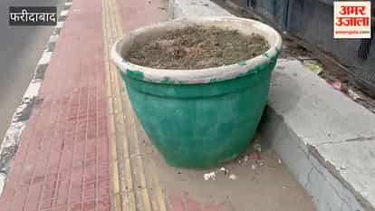 Greenery pots dry up on Jarunda flyover
