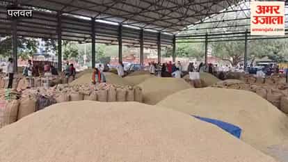 weighing process at Palwal grain market become faster