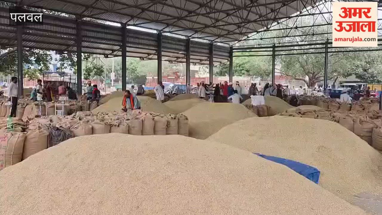 weighing process at Palwal grain market become faster