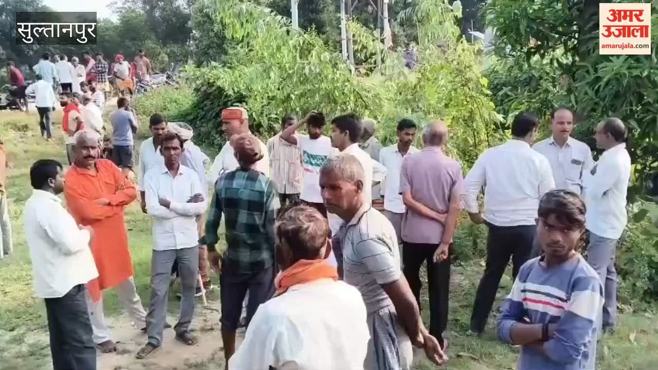 सुल्तानपुर में बाग में पेड़ की डाल से लटका मिला बुजुर्ग का शव, बीमारी से जूझ रहा था