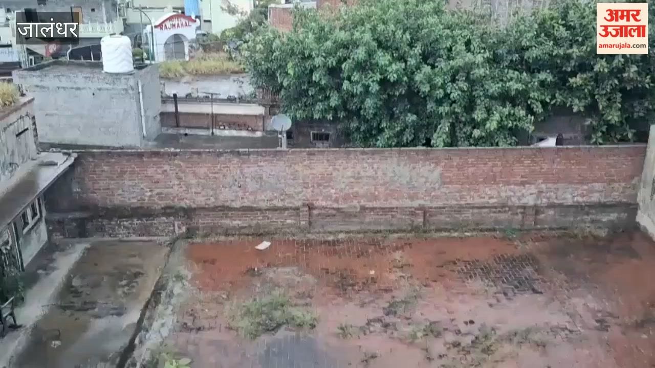Rain brings a chill to the weather in Jalandhar.