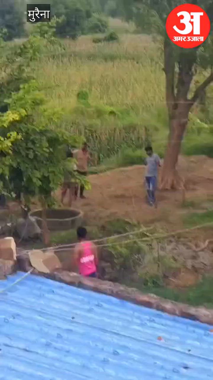 मुरैना खबर: घर के दरवाजे पर बैठी महिला पर लाठियों से हमला, बचाने आए चार लोगों को भी पीटा; पांच घायल