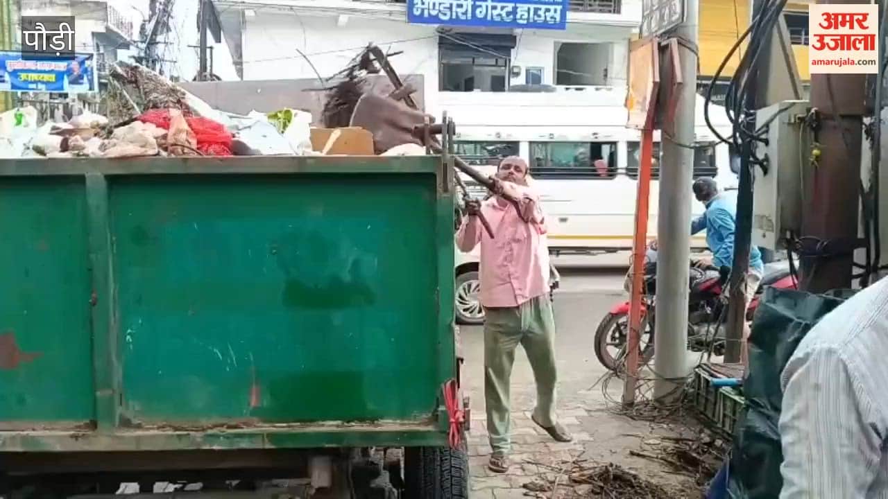 Branch of a dried Shisham tree fell in Srinagar Waziro ka Bagh; power lines damaged