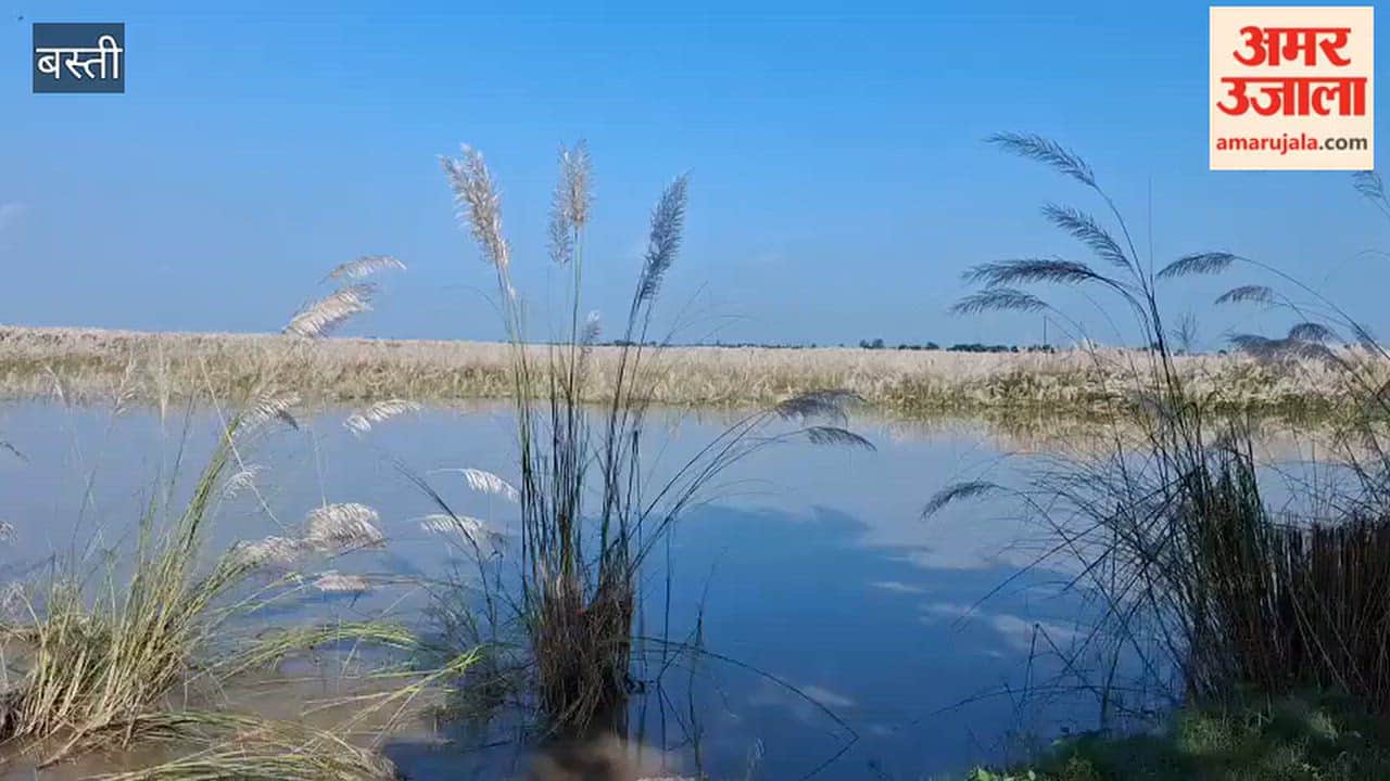 Saryu water level rises above danger mark; stir in the village.