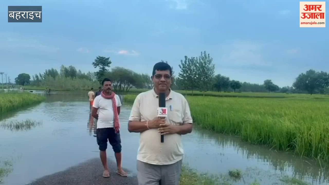 बहराइच के मिहींपुरवा क्षेत्र में बारिश के बाद सड़कें बनीं तालाब, खेतों में तैर रही धान की फसल