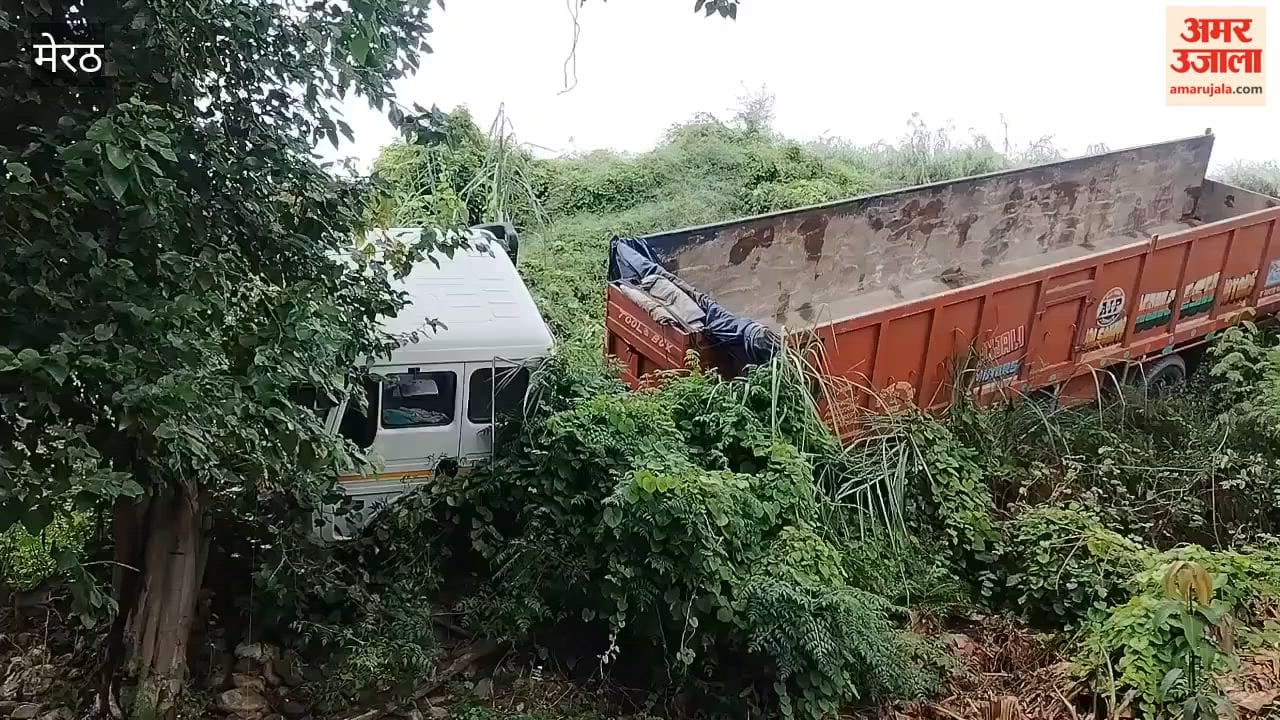 Truck Crashes Through Flyover Railing and Falls Below in Meerut, Driver and Helper Injured