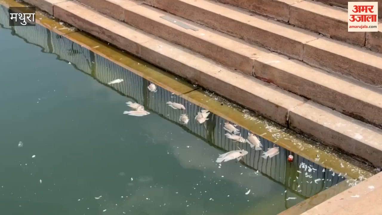Fish Die Again in Kusum Sarovar Despite Crores Spent on Development
