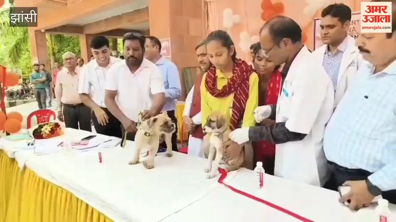 Free pet dog vaccination camp held at the Municipal Corporation on World Rabies Awareness Day.