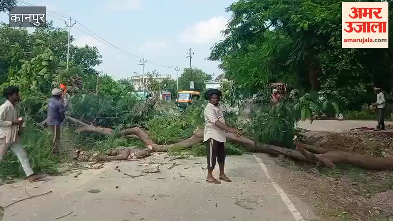 Forest Department begins felling trees obstructing the Mandhana-Bithoor road widening project