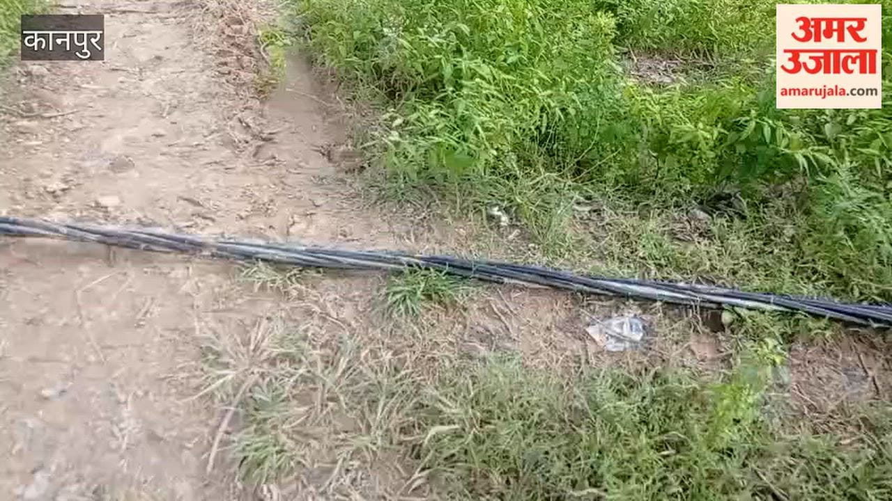 Kanpur: Cable falls to ground after trees collapse on it; risk of accident