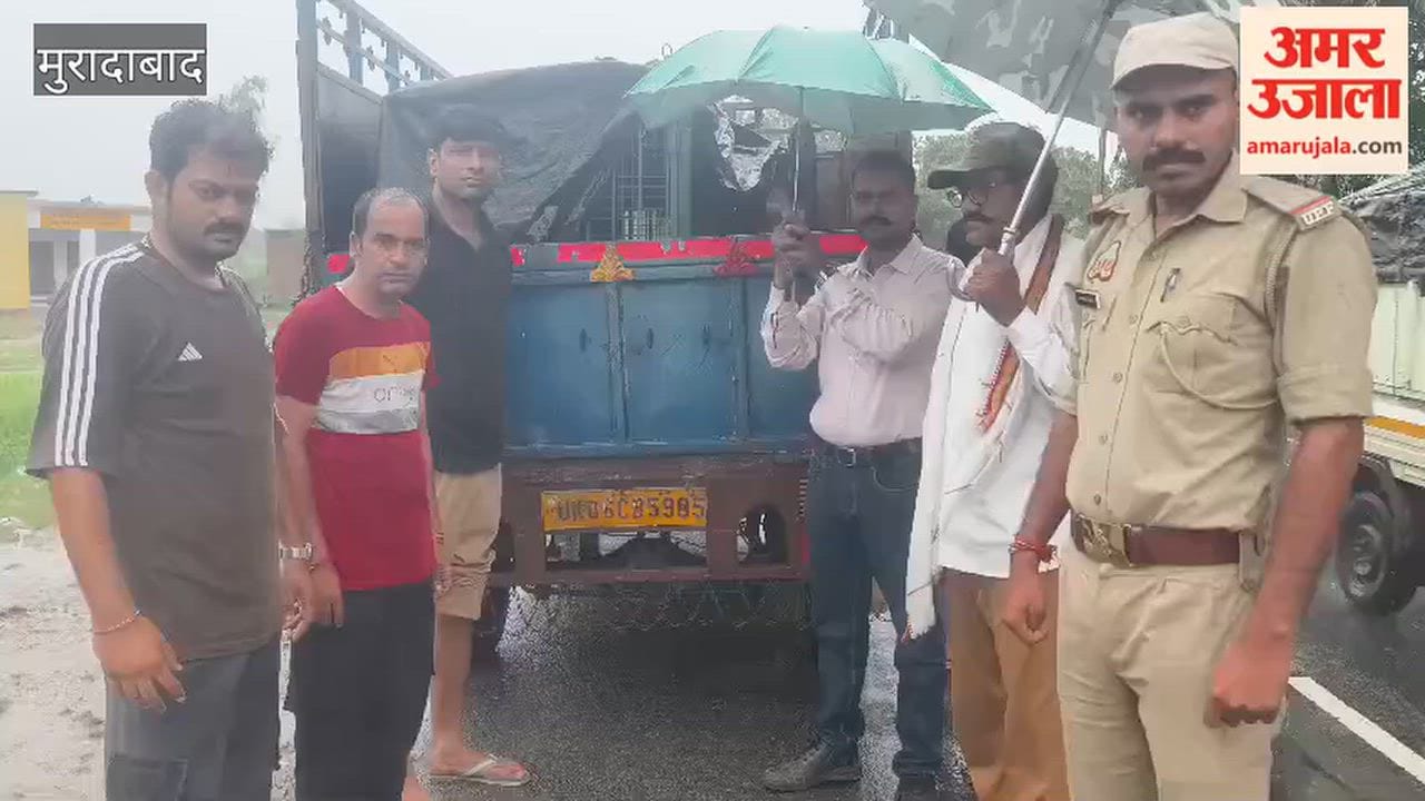 Another leopard trapped in a Forest Department cage in Sherpur Patti.