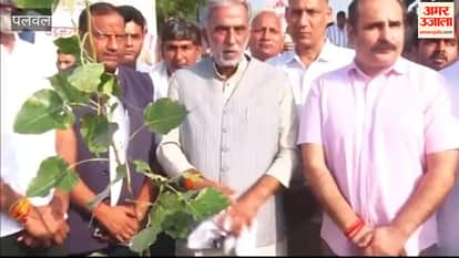 Seva Sankalp Abhiyan in Palwal to mark completion of 25 years of PM Modi s public service