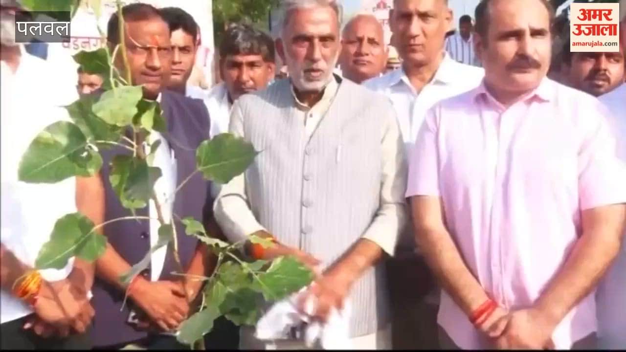 Seva Sankalp Abhiyan in Palwal to mark completion of 25 years of PM Modi s public service