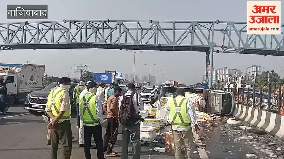 गाजियाबाद: दिल्ली-मेरठ एक्सप्रेसवे पर मछलियों से भरा डीसीएम पलटा, सड़क पर बिखर गईं मछलियां