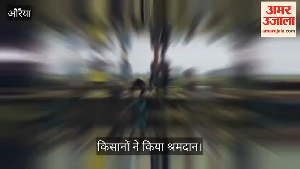 औरैया: अन्हैया नदी का जलस्तर बढ़ने से करीब 100 बीघा धान की फसल जलमग्न