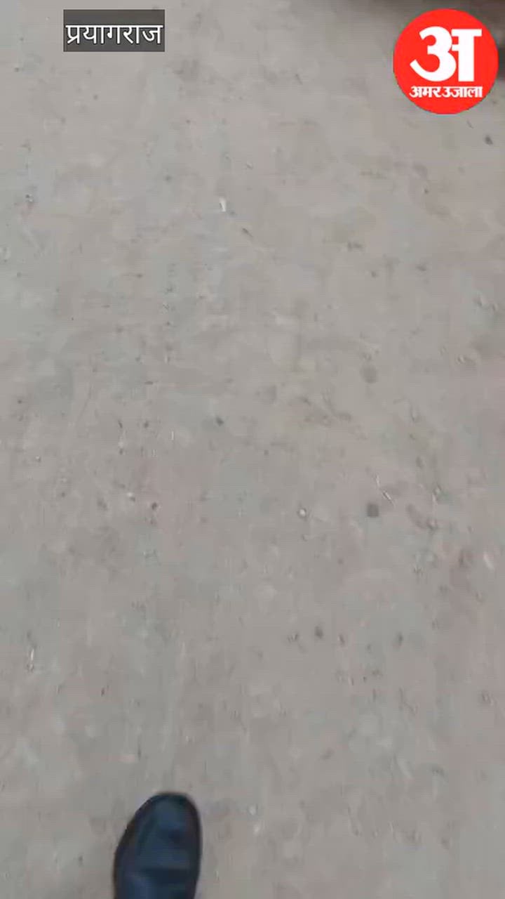 प्रयागराज - अभियान के दौरान पीटीओ के चालक का नोट गिनते हुए वीडियो वायरल, आरटीओ ने दर्ज कराई एफआईआर