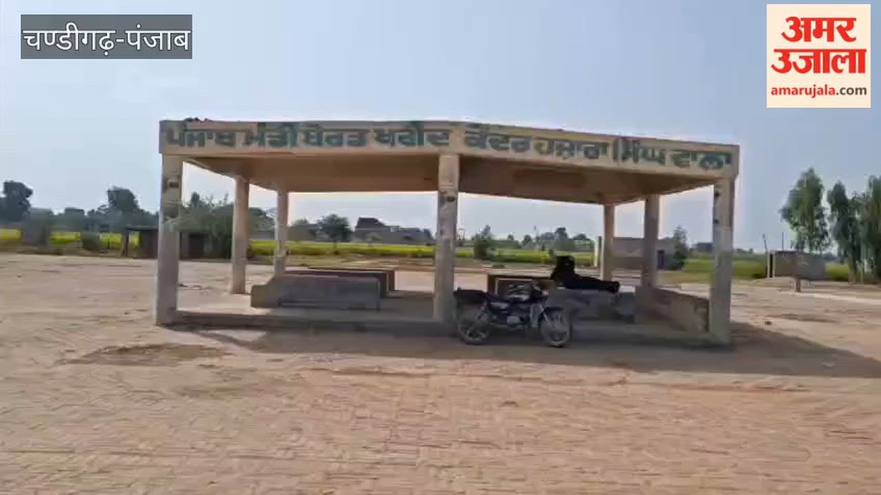 Complete arrangements for paddy procurement in Mamdot grain market