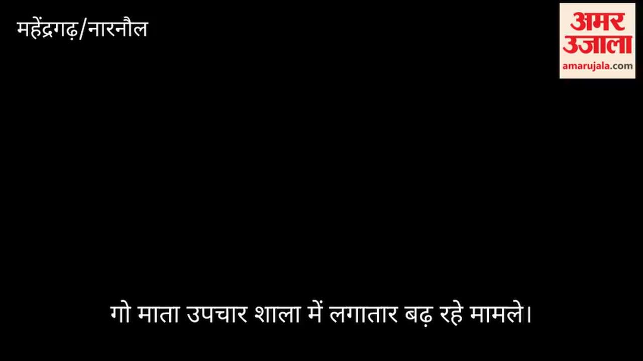 Narnaul: Lumpy infection detected in 25 stray cattle; an aggressively infected cow on Behror Road poses a challenge.