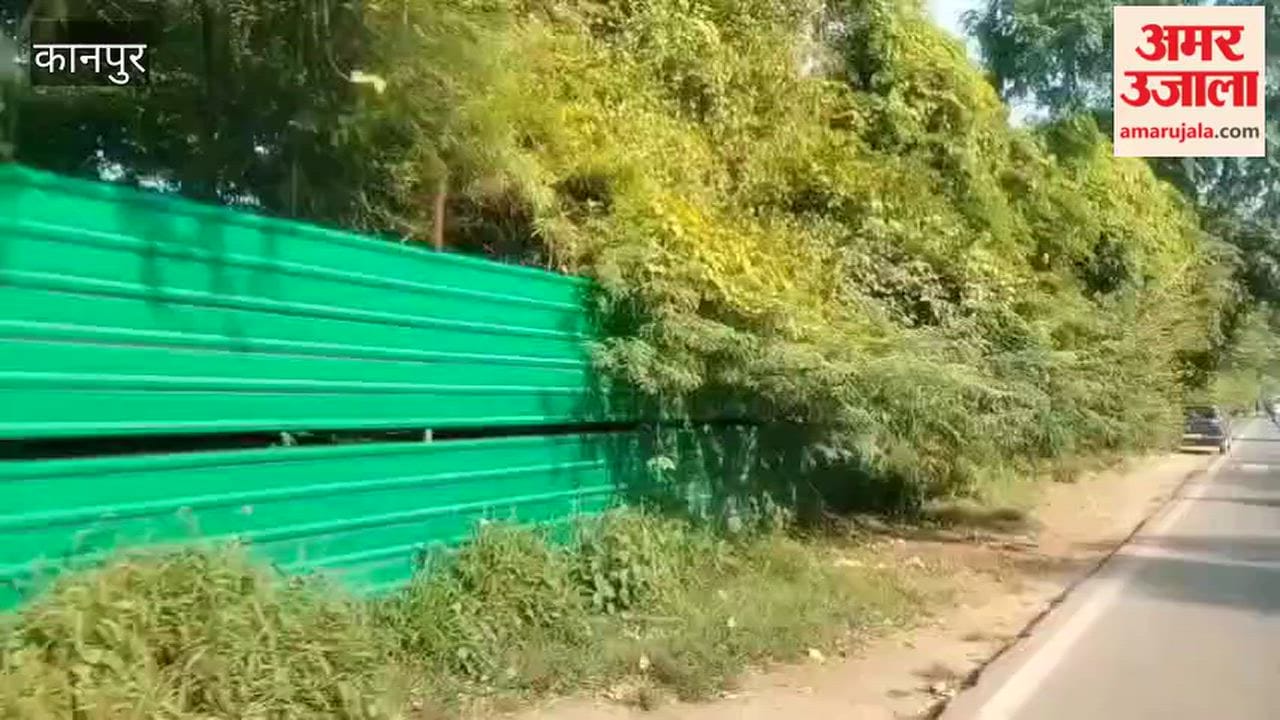 Kanpur: Overgrowth on COD Bridge causing difficulties for commuters
