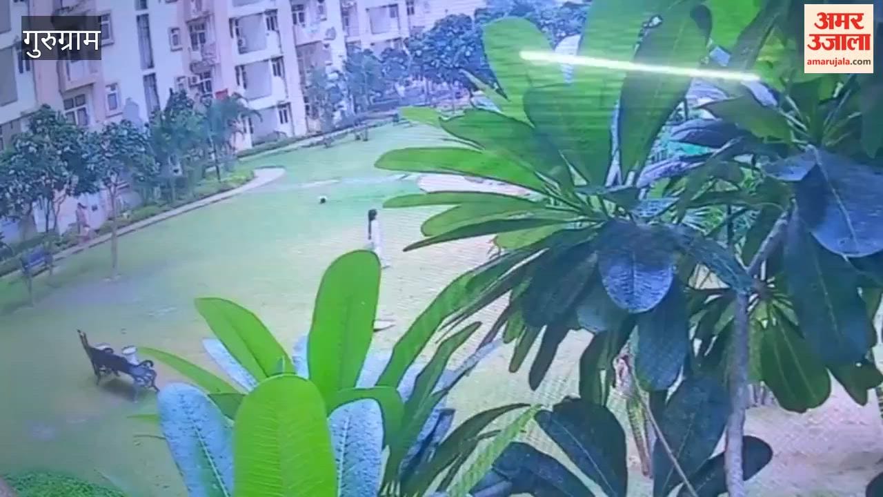 Girl bitten by dogs at Shri Vardhman Mantra Society in Gurugram