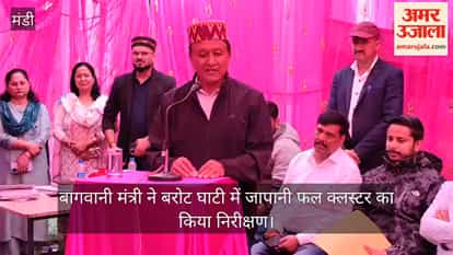 Mandi: Horticulture Minister inspects Japanese fruit cluster in Barot Valley.