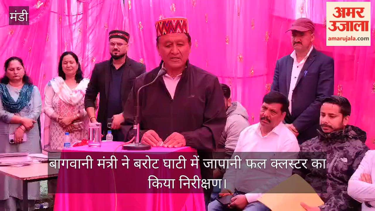 Mandi: Horticulture Minister inspects Japanese fruit cluster in Barot Valley.