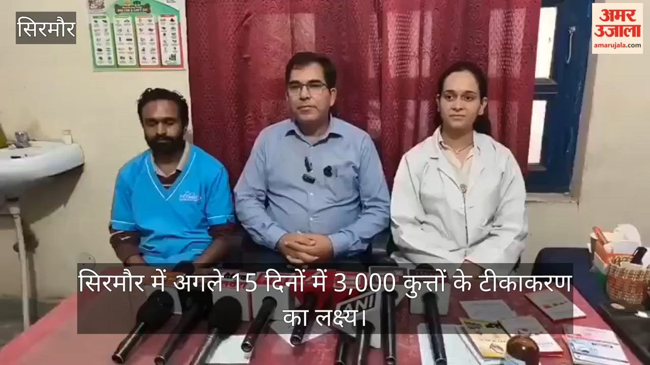 sirmaur 3000 dogs rabies vaccination drive 15 days nahan