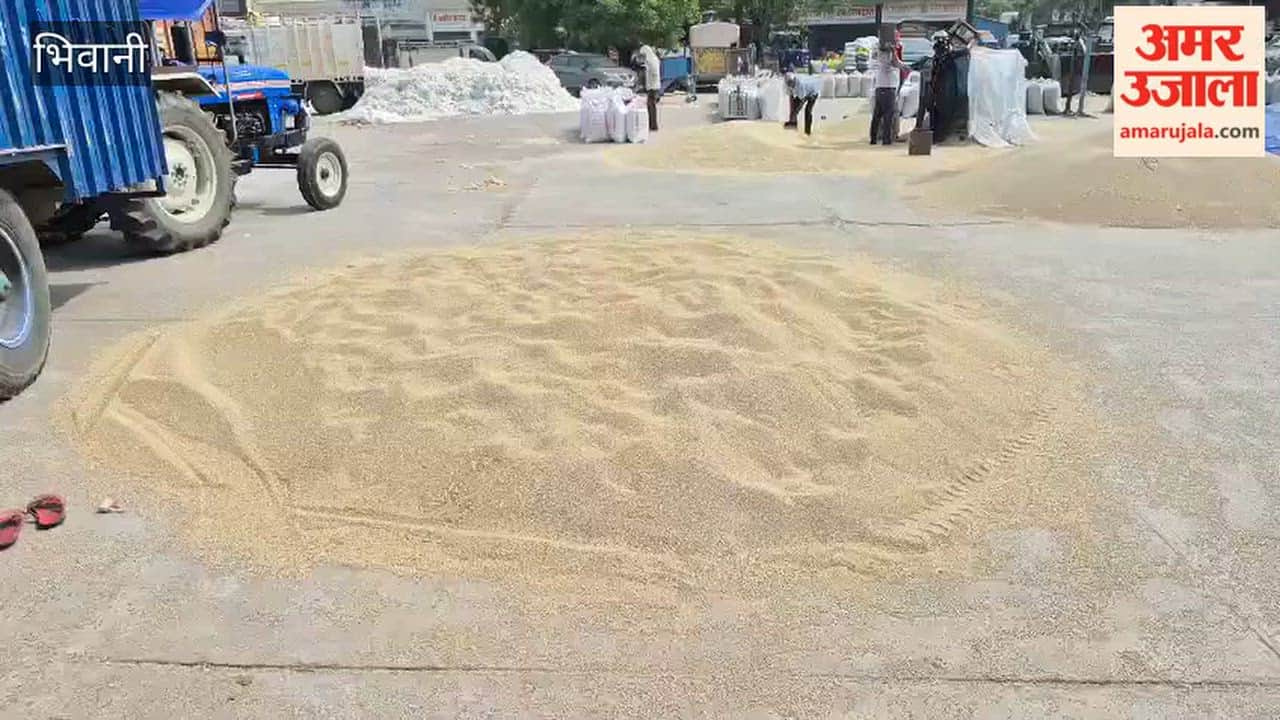 Now there will be no government procurement of millet in the markets in Bhiwani, we will have to be satisfied with Bhavantar only