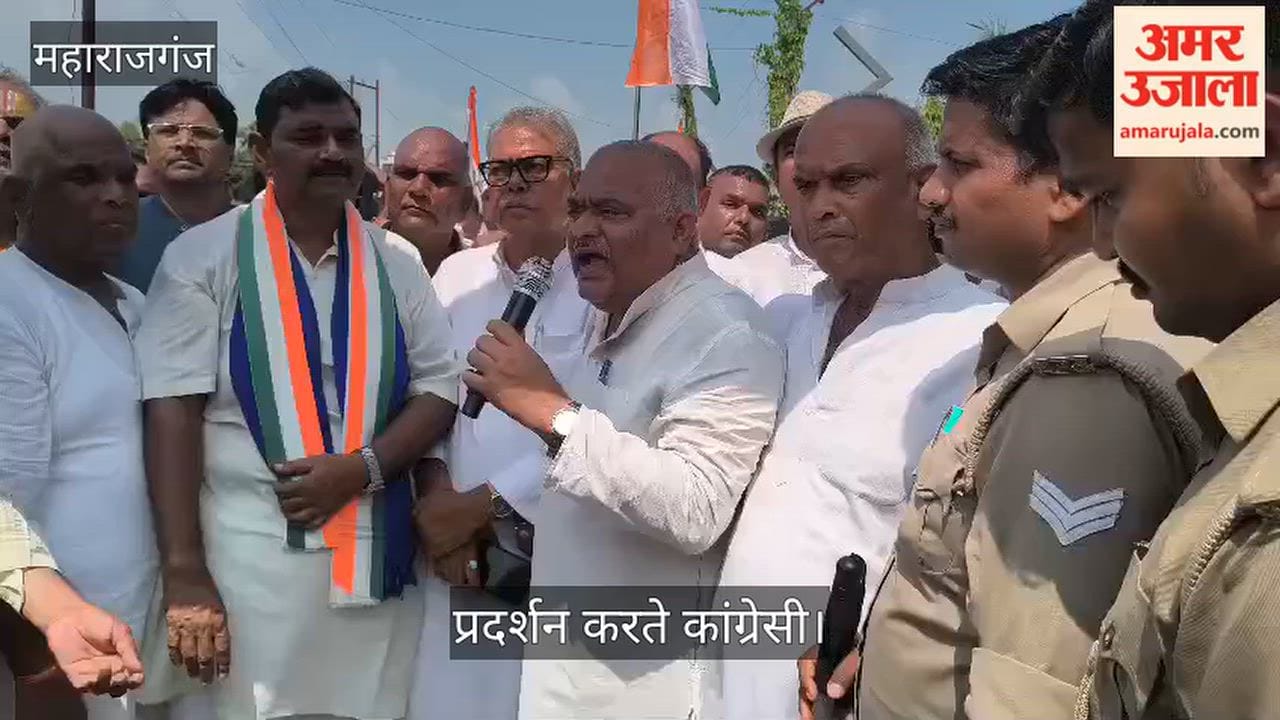 Congress protested against vote theft.