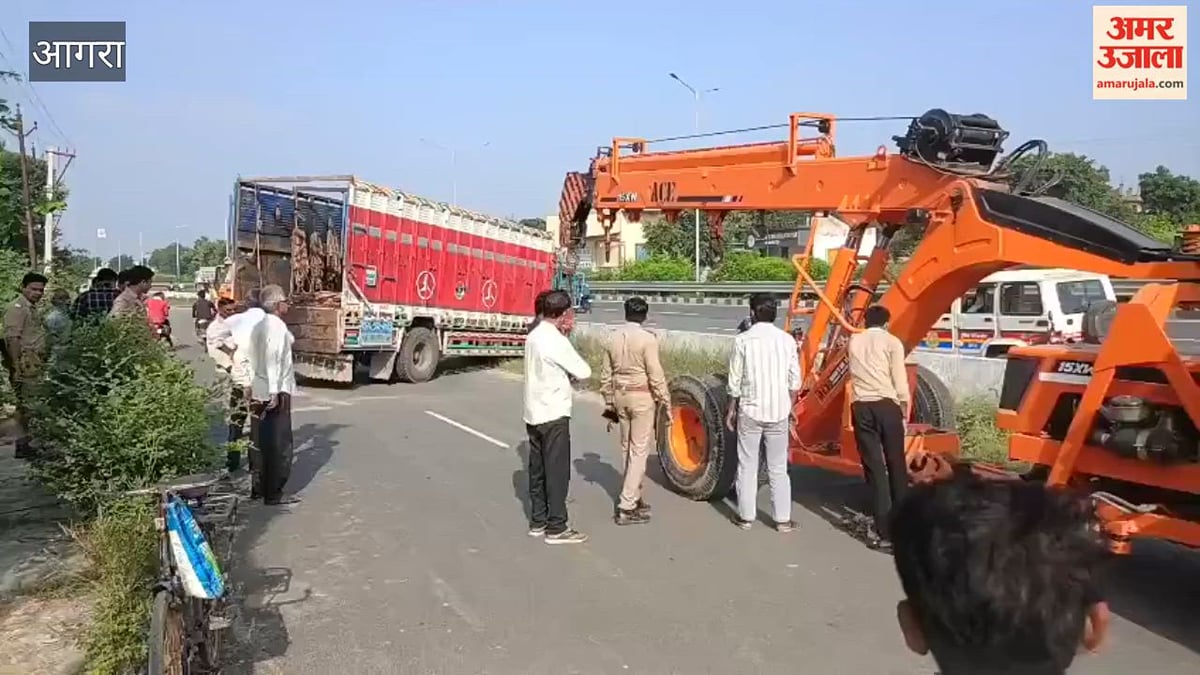 VIDEO: कैंटर से भैंस का शव फेंकते पकड़े गए पांच लोग, ग्रामीणों ने लगाया चोरी का आरोप; गले पर मिला कट का निशान