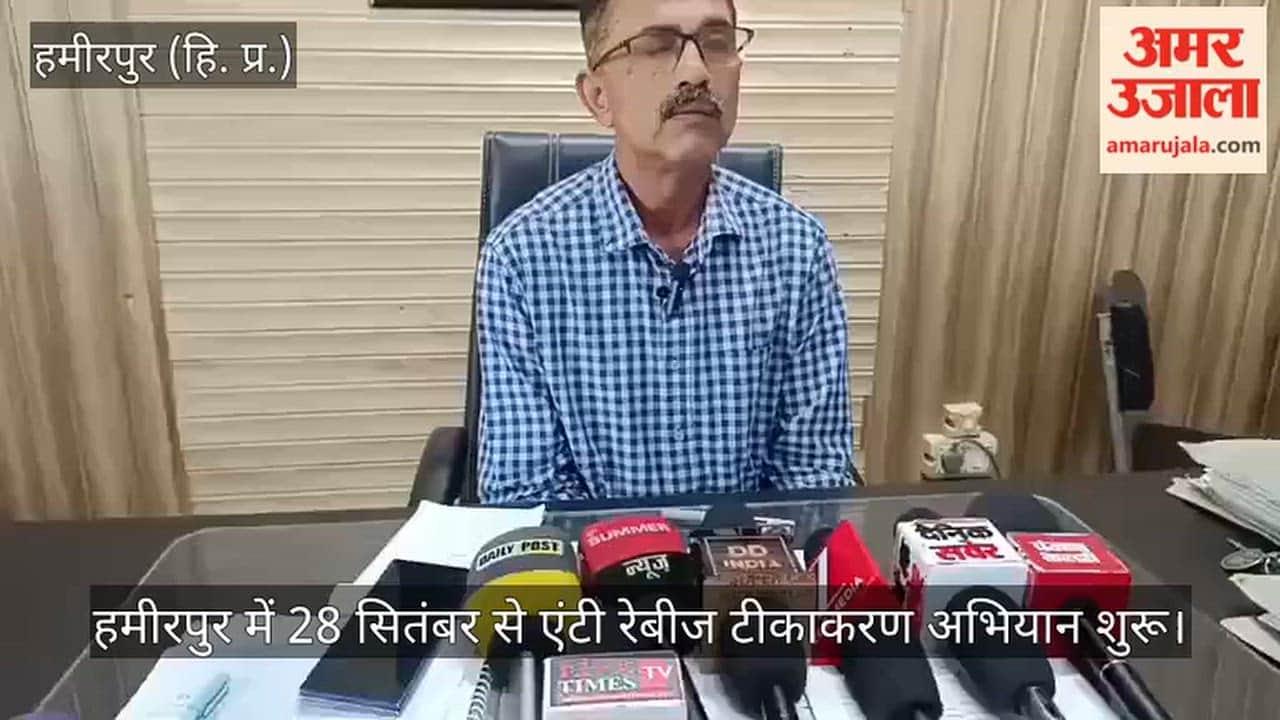 hamirpur anti rabies vaccination drive 316 dogs vaccinated