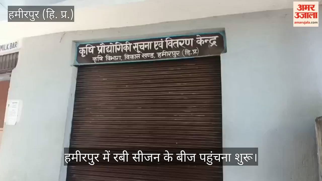 hamirpur rabi season pea radish spinach seeds subsidy farmers