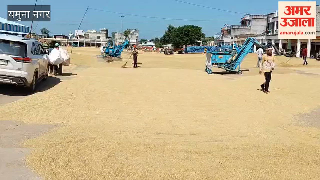 Portal failed on the first day of paddy procurement in Yamunanagar, farmers faced problems