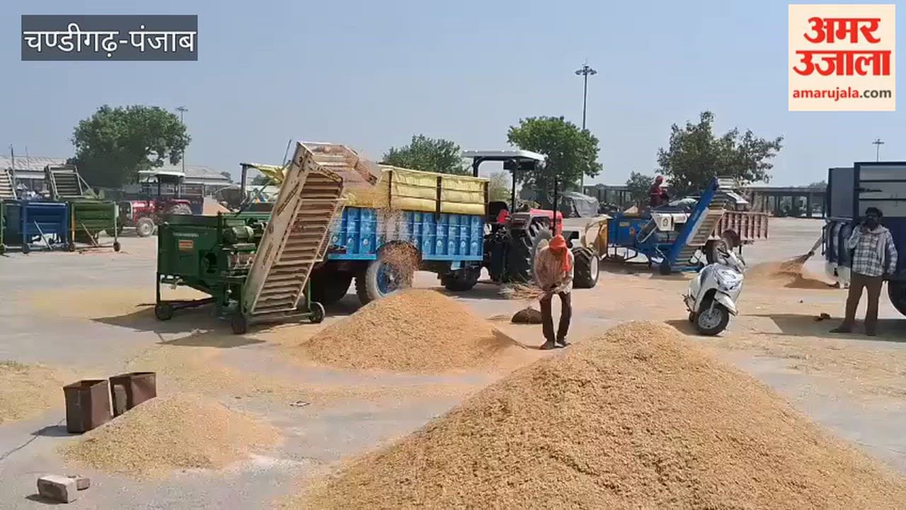 Preparations for government procurement of paddy completed in Kotkapura; robust arrangements made for farmers.