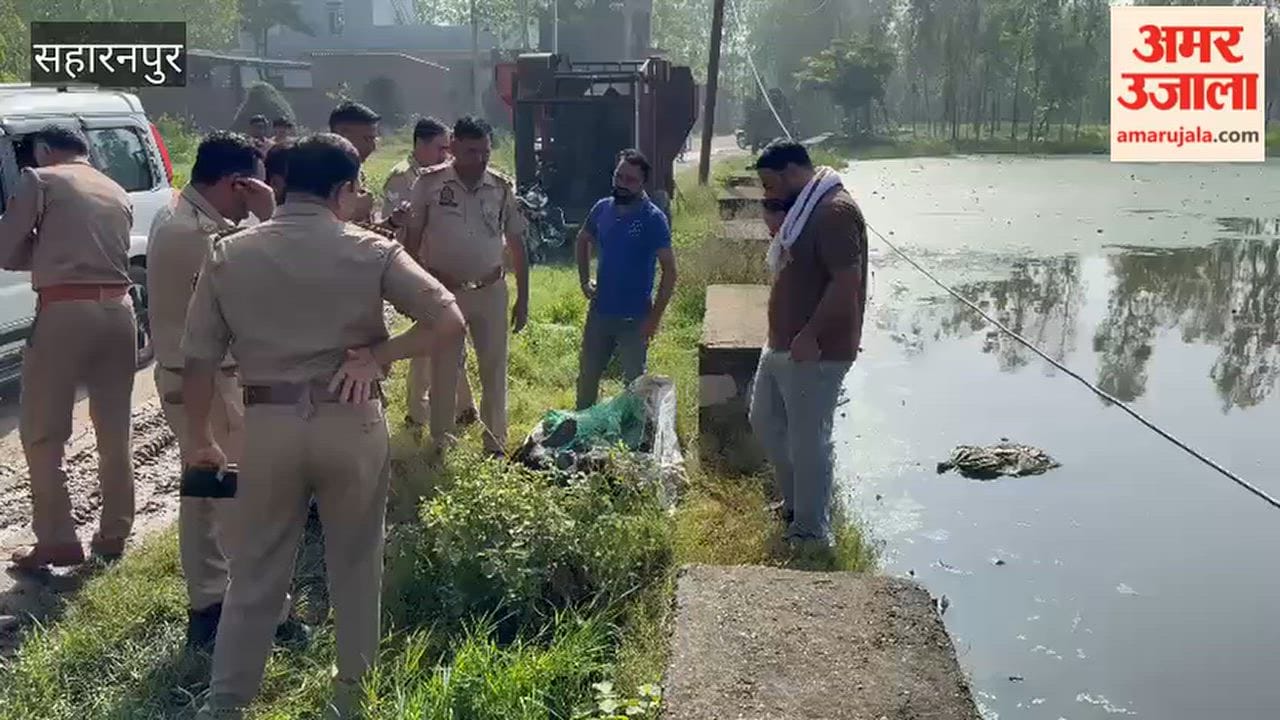 Cattle Remains Found in Pond in Saharanpur, Bajrang Dal Workers Raise Suspicion of Cow Slaughter