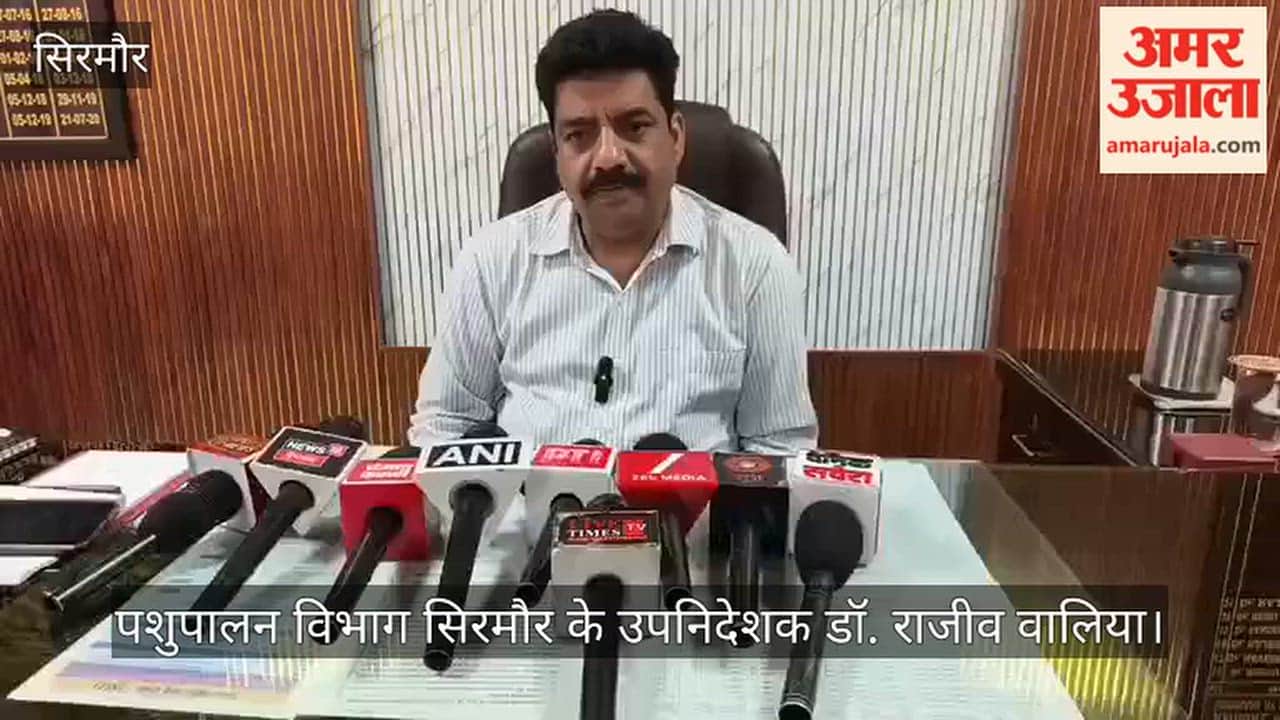 Nahan: 55,500 animals vaccinated in Sirmaur; situation regarding Lumpy infection under control.