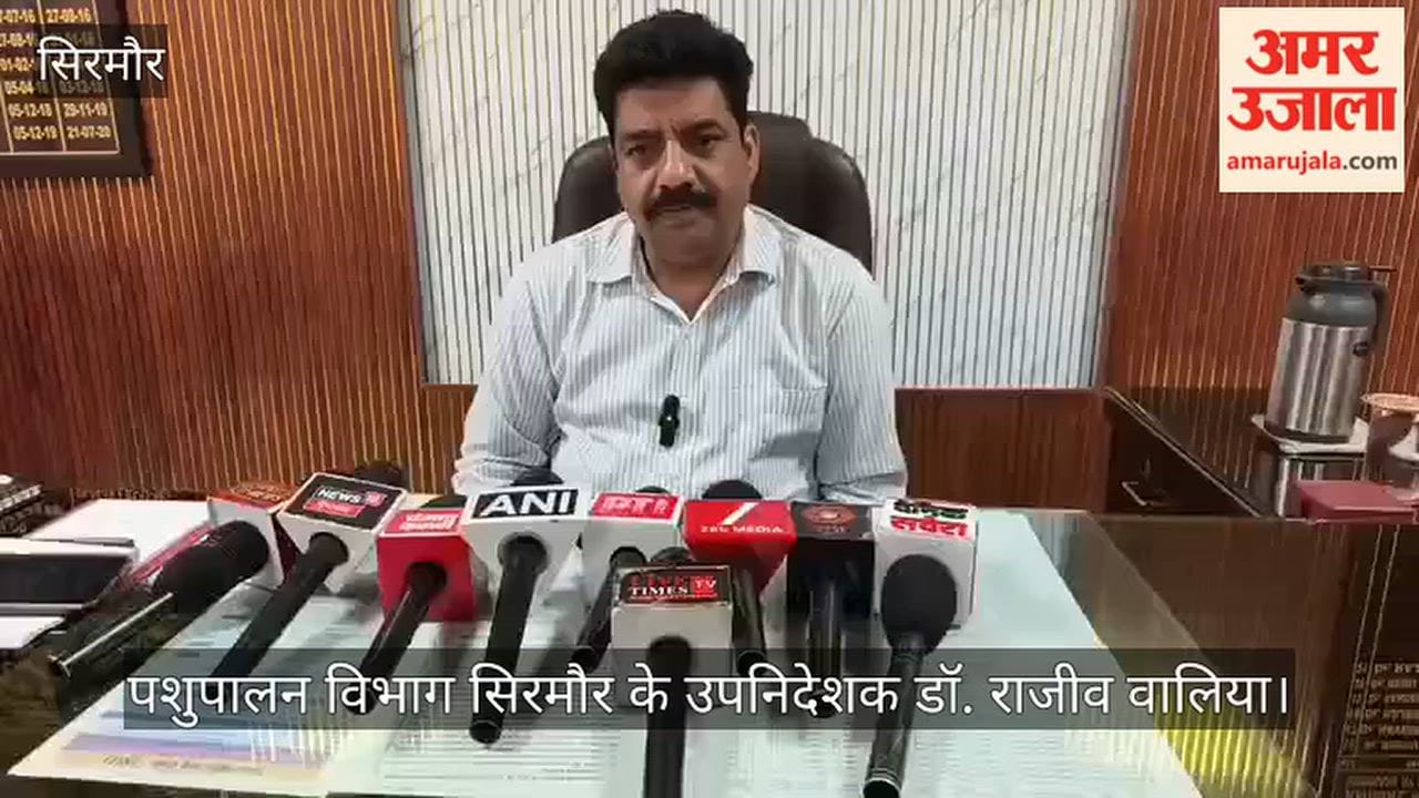 Nahan: 55,500 animals vaccinated in Sirmaur; situation regarding Lumpy infection under control.