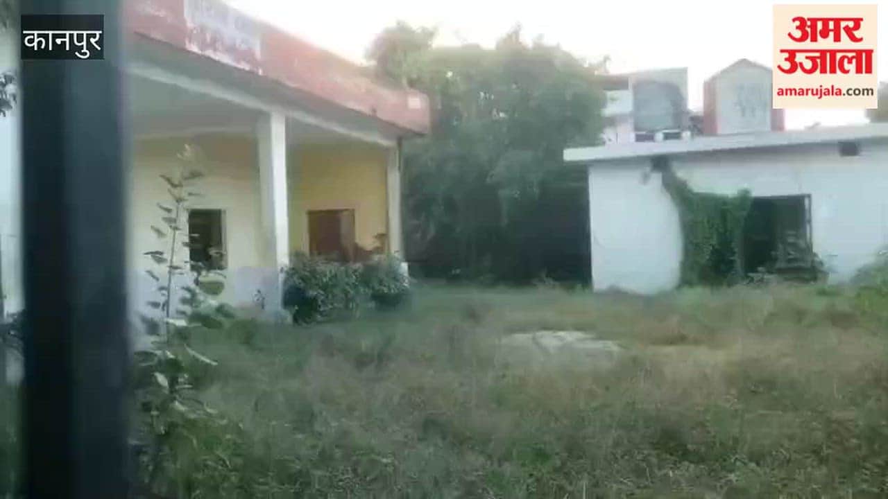 Kanpur: Filth and overgrown bushes at the Municipal Corporation's wedding hall